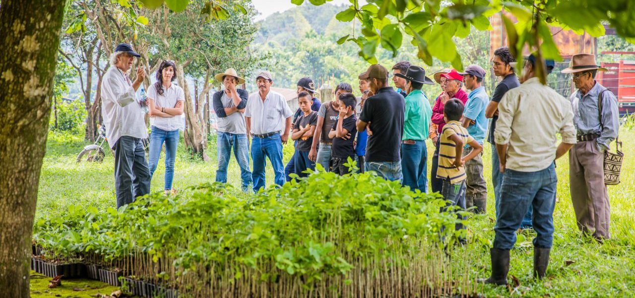 El 29 de agosto del 2017 se realizó la entrega de pilones de Palo Blanco y Teca en las aldeas de Osuna y Los Cimientos en Escuintla, Guatemala. Esta actividad forma parte del proyecto de reforestación de Fundación Nuevas Raíces. Los 6,500 árboles de Palo Blanco y Teca fueron donados en colaboración con One Tree Planted. Mitchell Denburg y Sarah Mann estuvieron presentes como representantes de ambas fundaciones para hablar con los receptores de está donación.

http://www.newrootsfoundation.org
http://www.instagram.com/newrootsfoundation 
https://onetreeplanted.org

Foto:
Leonel [nelo] Mijangos
www.nelomh.com